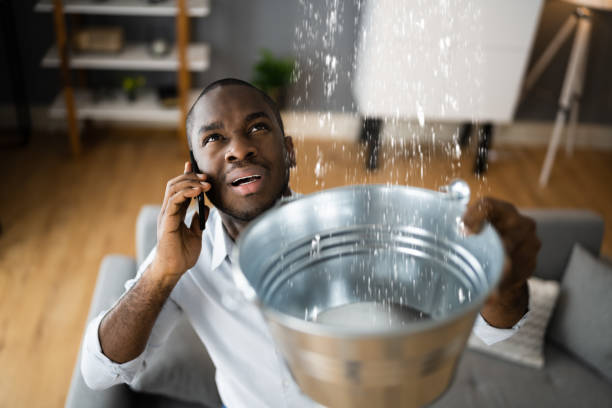 Best Flooded house restoration  in Kutztown University, PA