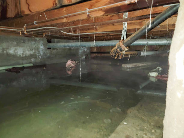 Best 24-hour water damage restoration  in Kutztown University, PA