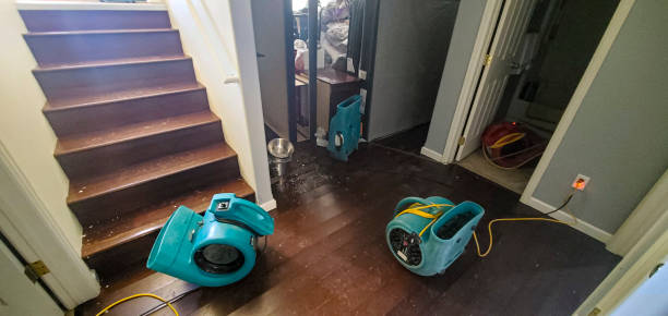 Best Water damage restoration process  in Kutztown University, PA
