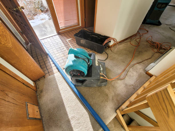 Best Emergency water extraction  in Kutztown University, PA