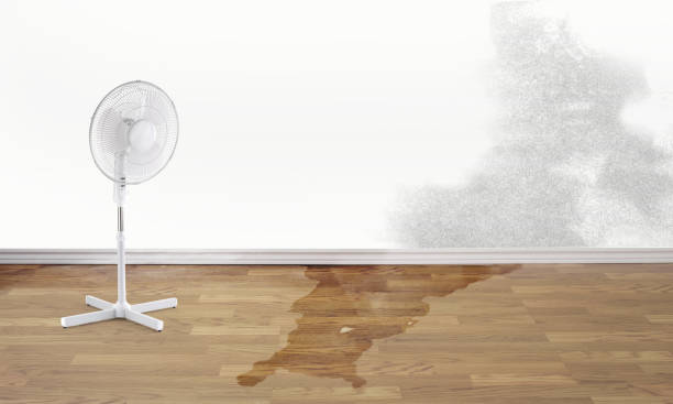 Best Water damage restoration near me  in Kutztown University, PA