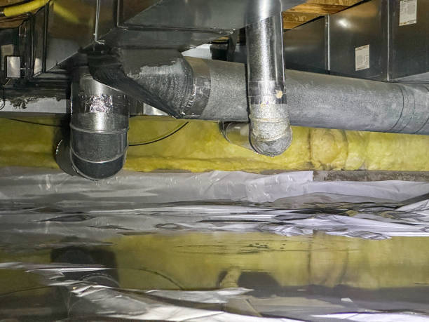 Best Ceiling water damage repair  in Kutztown University, PA