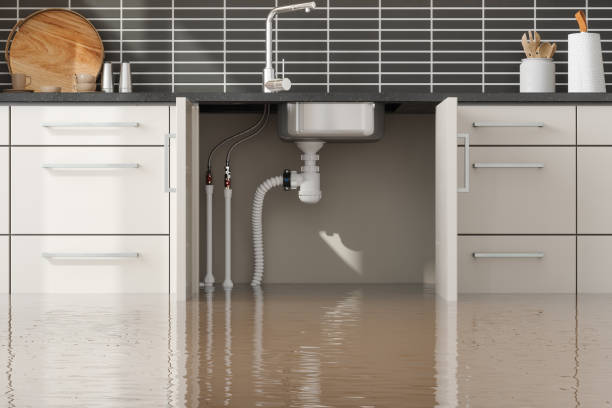 Best Local water damage restoration  in Kutztown University, PA