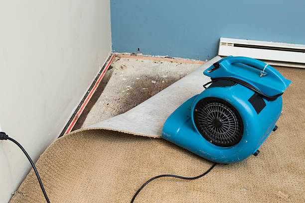 Best Fire Damage Restoration  in Kutztown University, PA